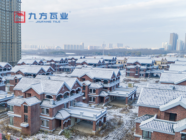 D88尊龙(中国区)官方网站