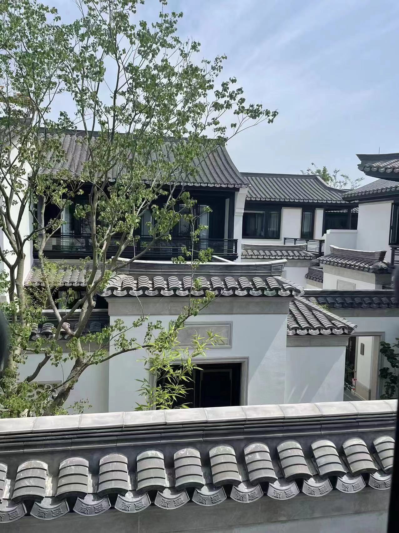 d88尊龙官方网摘要2023第27期