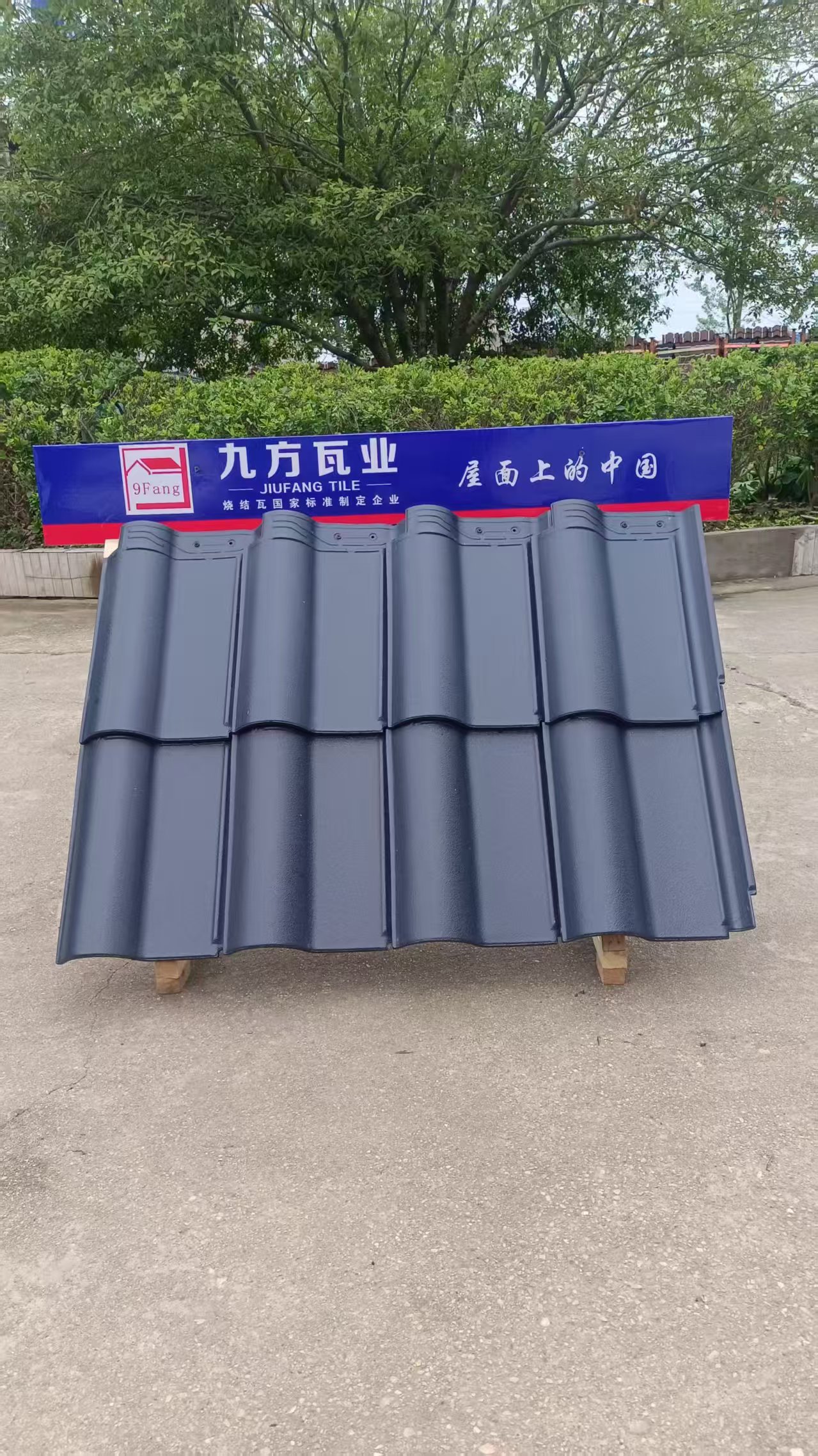 d88尊龙官方网摘要2025第16期
